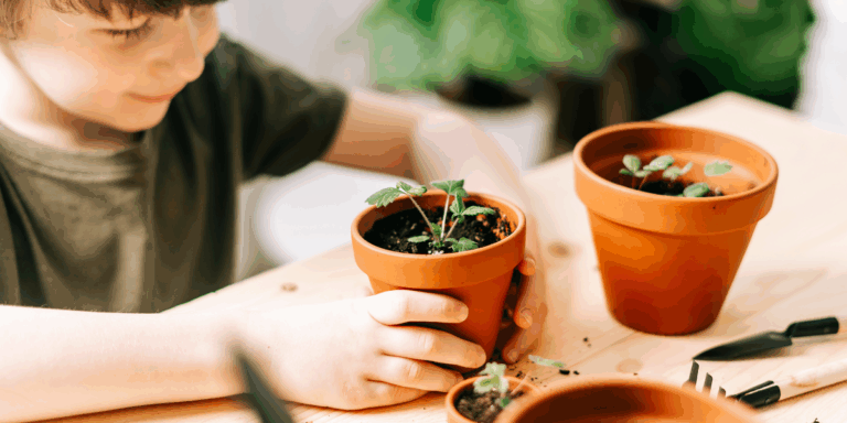 Atelier jardinage : boutures et bouquins à la médiathèque Salim-Hatubou