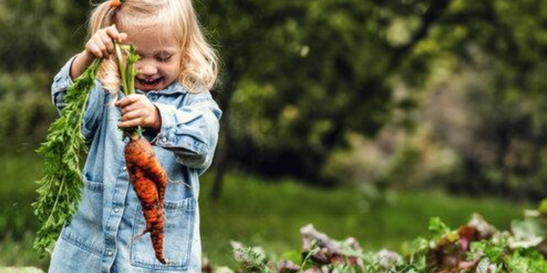 Croc’Tout : un atelier tribu sur l’alimentation à Explora Provence, Gardanne