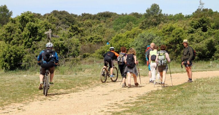 Balade en VTT au domaine de Caireval : bocage forestier et anciennes carrières, dès 10 ans à Rognes