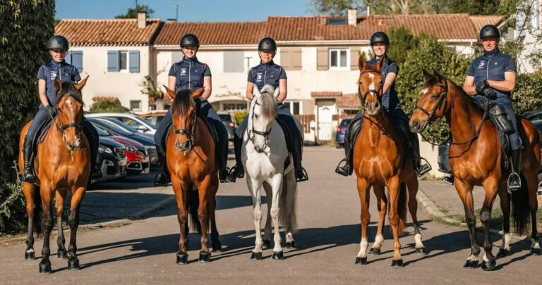 Une journée avec la garde à cheval : écuries, chevaux et randonnée au parc de la Tour d&rsquo;Arbois