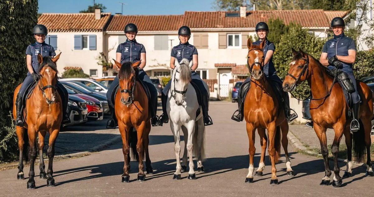 Une journée avec la garde à cheval : écuries, chevaux et randonnée au parc de la Tour d&rsquo;Arbois