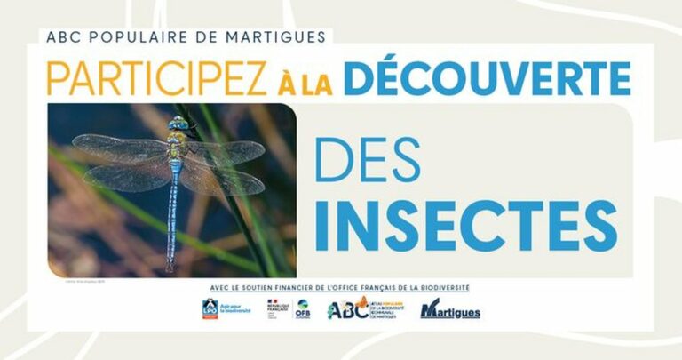 À Martigues, une matinée pour découvrir les insectes des collines