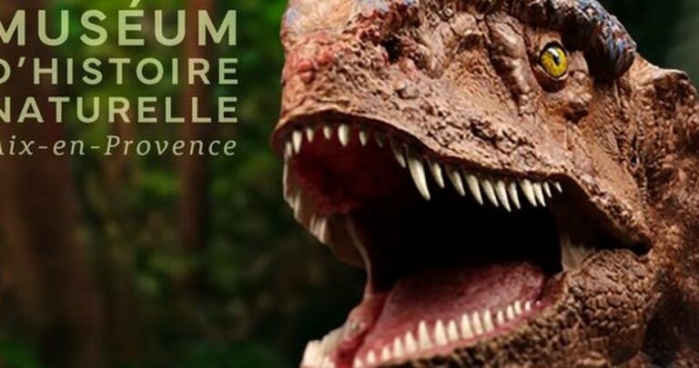 Les ateliers du Muséum d’Aix-en-Provence pendant les vacances de la Toussaint : cinq rendez-vous nature pour les 7-12 ans