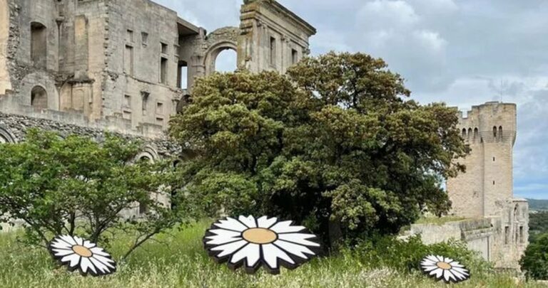 Floraison Majeure à l’abbaye de Montmajour : les fleurs de pierre à découvrir en famille