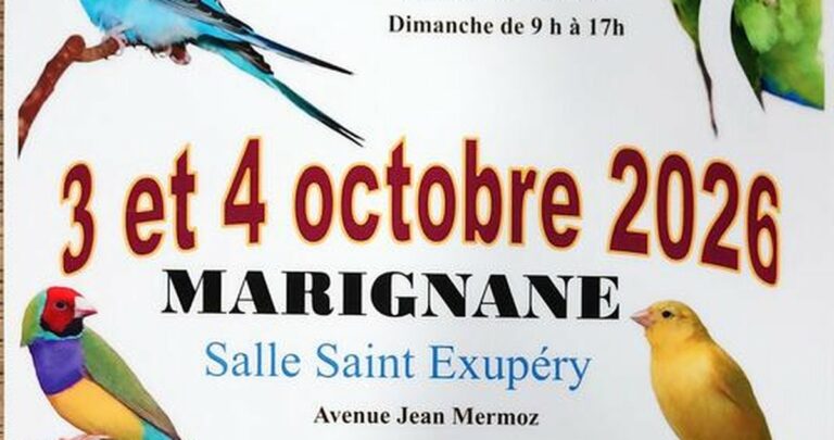 Exposition et bourse aux oiseaux à Marignane : un week-end à plumes en famille