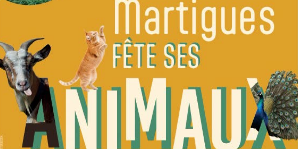 Martigues fête ses animaux : une journée à la ferme de Figuerolles, entre calèche, ruches et éco-pâturage