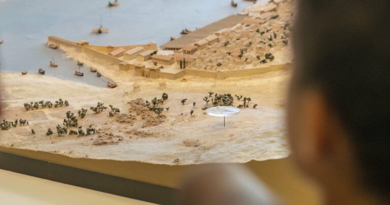 Visite en famille « Les petites bêtes du musée » au Muséum d’histoire naturelle de Marseille