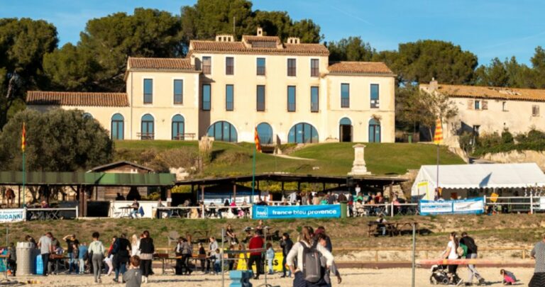 Journée pastorale des Bergers à Istres : moutons, calèche, poneys et fauconnerie au Deven
