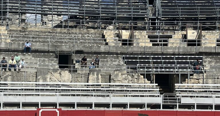 Vacances de la Toussaint dans les monuments d&rsquo;Arles : gladiateurs, escape game et visites contées