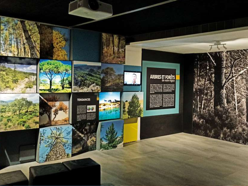 Écomusée de la forêt à Gardanne