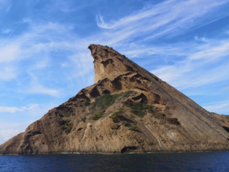 Île Verte à La Ciotat : une petite île sauvage à 15 minutes de bateau