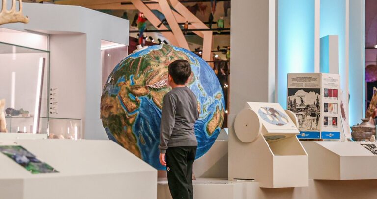 Soirées Safaris « Peaupoil et plumécaille » : une enquête préhistorique loufoque au Muséum de Marseille, dès 8 ans