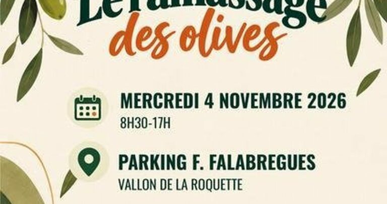 Ramassage des olives en famille au vallon de la Roquette à Châteaurenard