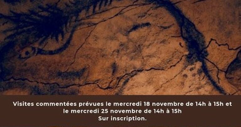Les grottes Chauvet et Cosquer : une double exposition sur l&rsquo;art préhistorique à Châteaurenard