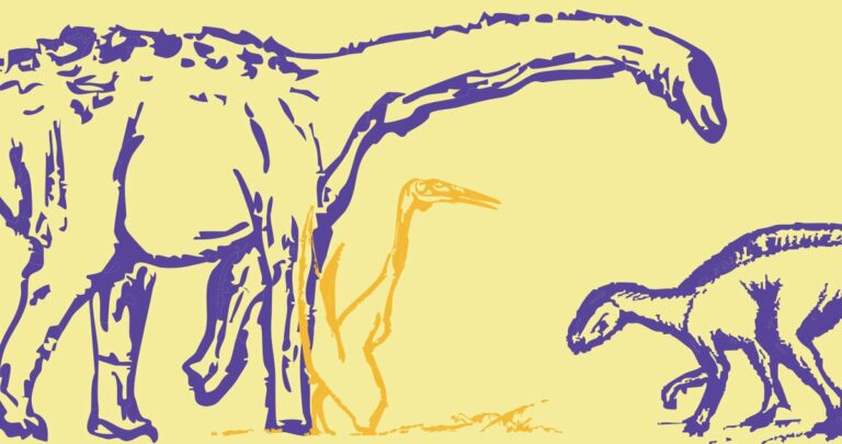Paroles de fossiles : des médiateurs font parler les dinosaures au Muséum de Marseille