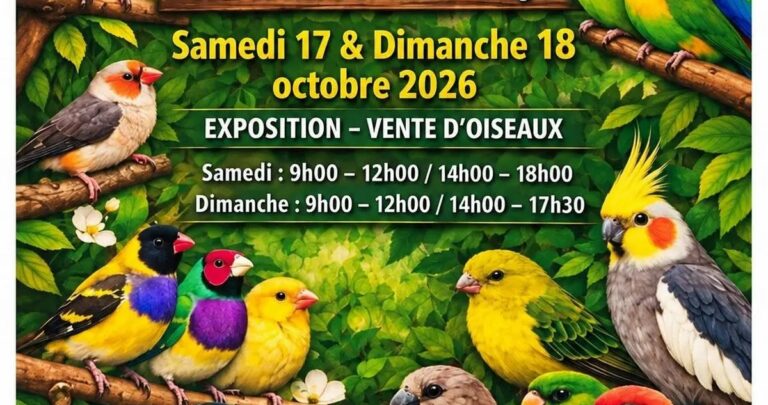Grande bourse aux oiseaux à l&rsquo;Espace du Bras d&rsquo;Or d&rsquo;Aubagne : canaris, perruches et perroquets à admirer