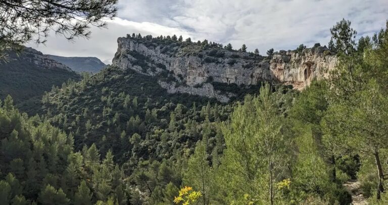 Randonnée « À la tombée de la nuit » à Auriol : écouter la forêt s&rsquo;éveiller au crépuscule, dès 7 ans