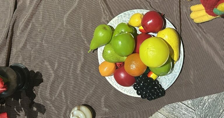 « Nature peinture ! » : atelier en famille autour des natures mortes au Musée des Beaux-Arts de Marseille