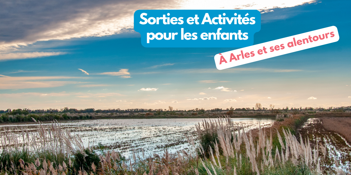Que faire en famille à Arles et ses alentours ?