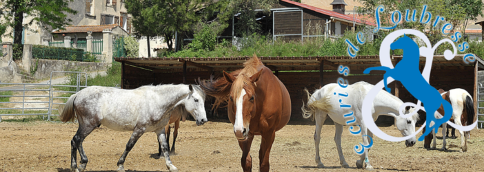 Les écuries de Loubresse