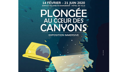 Sans titre-9-Récupéré Plongée au coeur des canyons