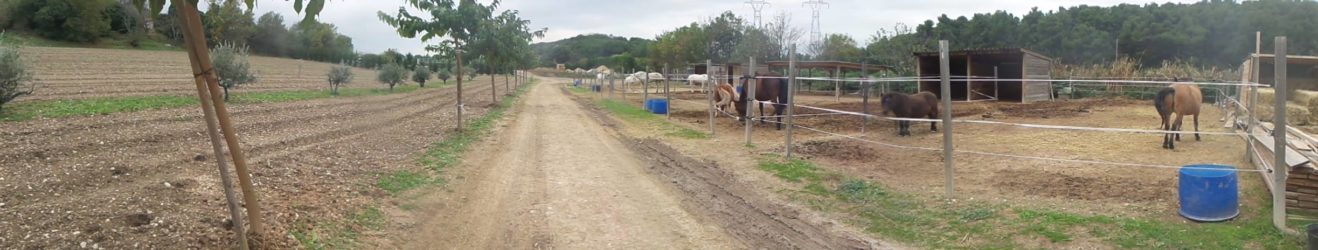Les écuries de blues Sky