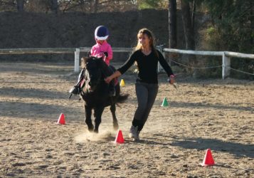 diapo-ponybaby-poney-enfants-vitrolles-4 Pony Baby