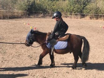 Mon Ami Poney Les Pennes Mirabeau