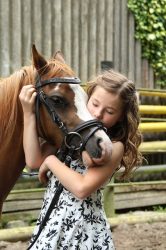 Stage équitation avec le centre équestre Sauvecanne